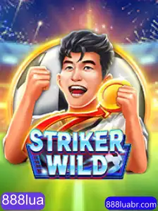 Desbravando o Universo de StrikerWILD: Um Mergulho Profundo no Jogo da Vez